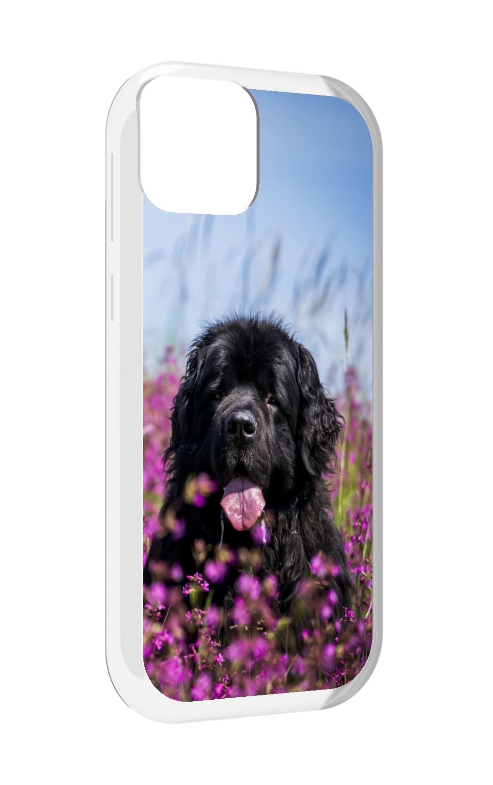 

Чехол MyPads ньюфаундлед для UleFone Note 6 / Note 6T / Note 6P, Прозрачный, Tocco