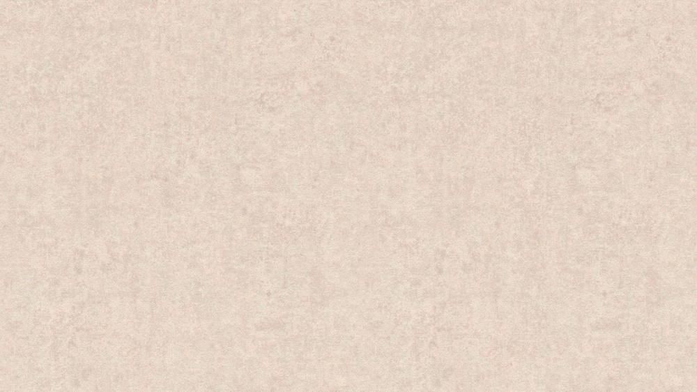

Rasch Kerala 551754