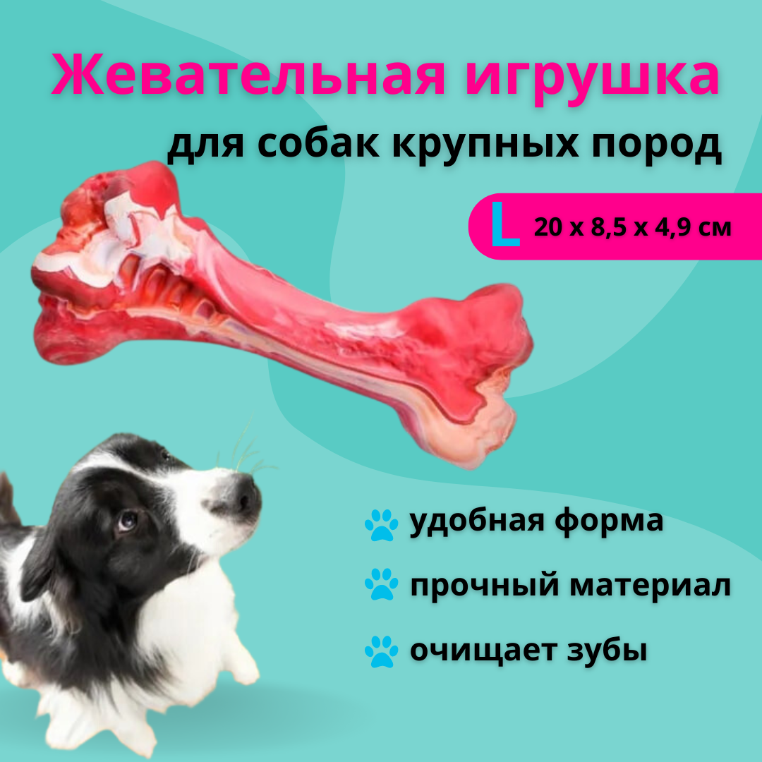 Игрушка для собак ZDK Friendly Кость красная каучук L 20x85x49 см 844₽