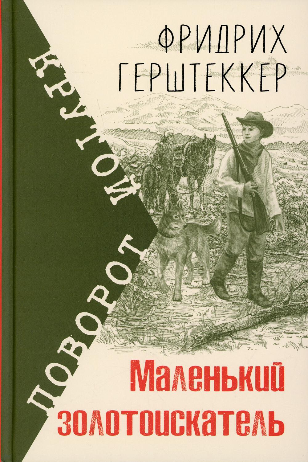 фото Книга маленький золотоискатель энас-книга