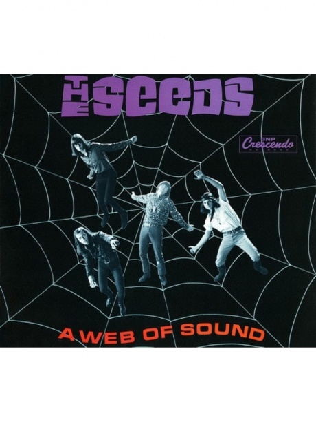 

THE SEEDS - A Web Of Sound (2Cd)