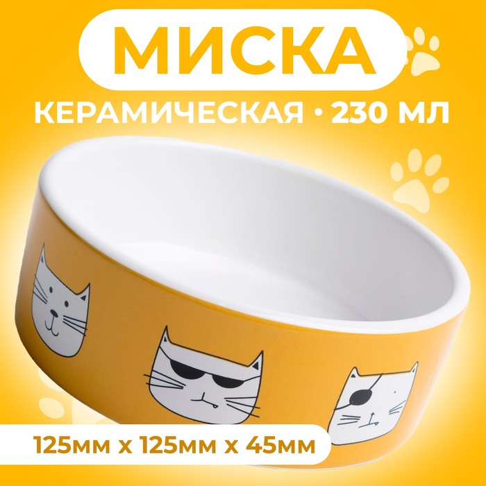 

Миска Пижон Опасные коты 9214850, бело-оранжевая, 12,5x4,5 cм, Белый;оранжевый