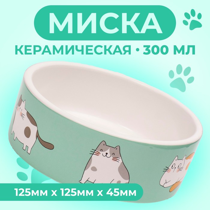 

Миска Пижон Котяры 9214849, бело-зеленая, 12,5x4,5 cм, Белый;зеленый