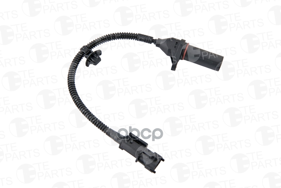 

Датчик Положения Коленчатого Вала TE PARTS 81067509