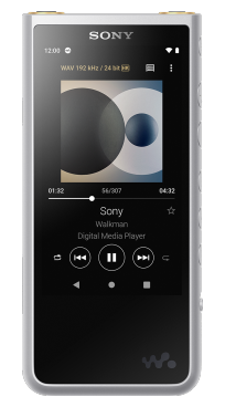 

Sony NW-ZX507/S Цвет Серебряный