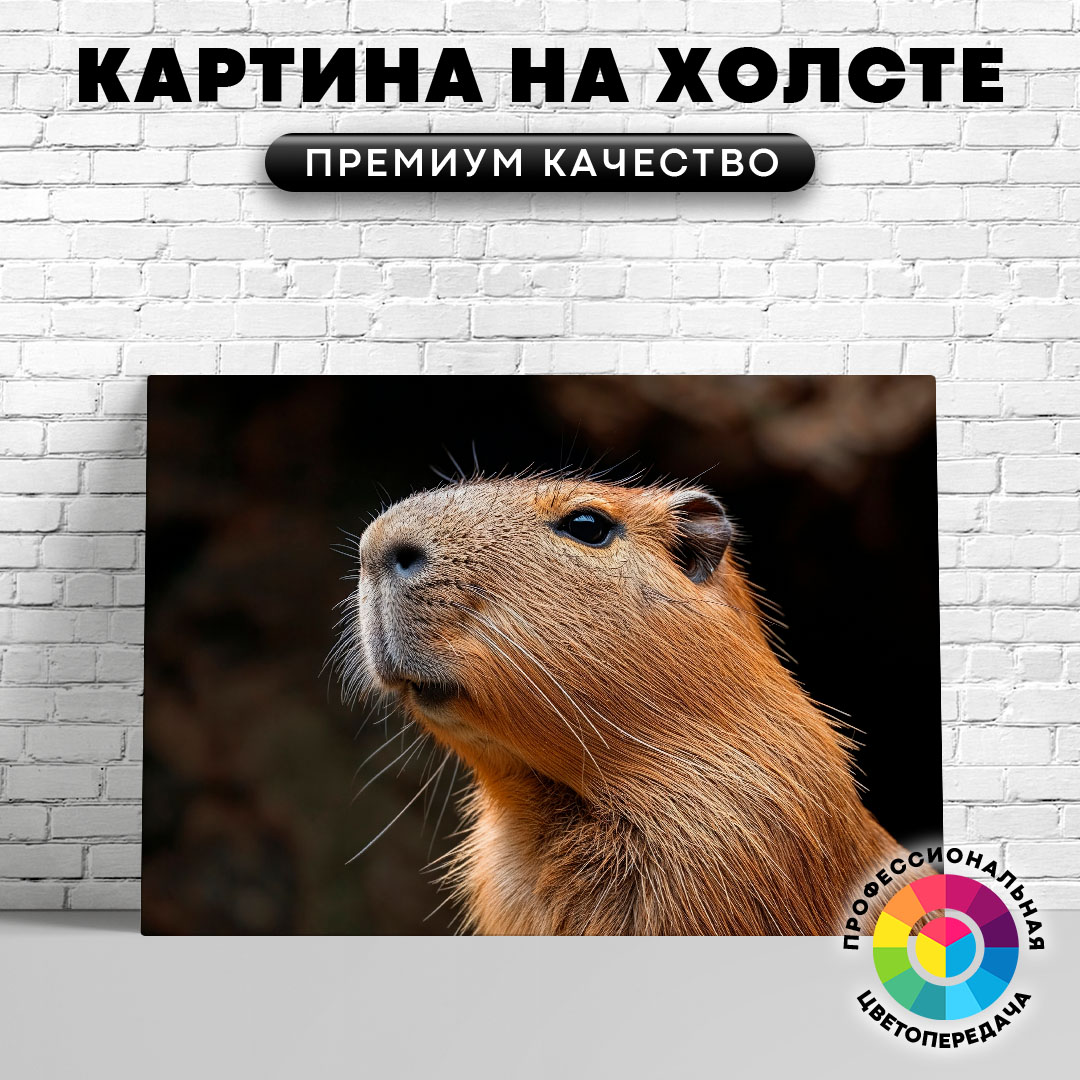 

Картина на холсте Любопытная капибара 60х80 см, ЖКАПИ