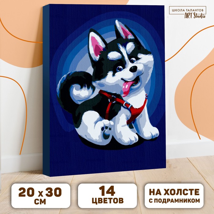 

Картина по номерам Школа талантов Щенок хаски, 20х30 см, Щенок хаски