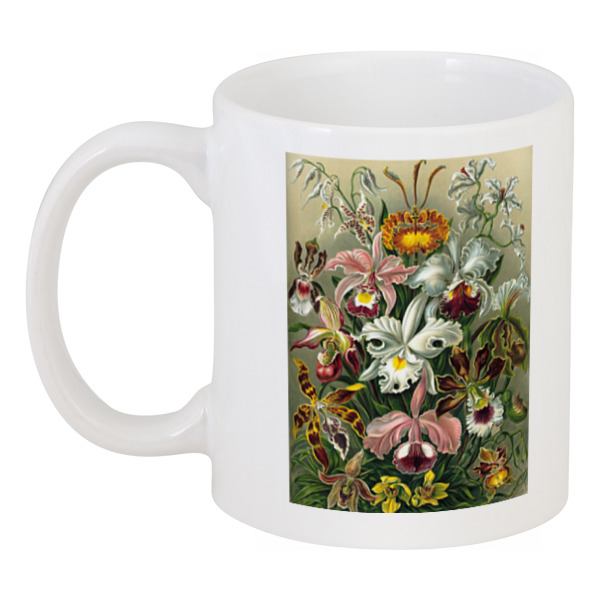 

Кружка Printio Орхидеи (orchideae, ernst haeckel), Разноцветный