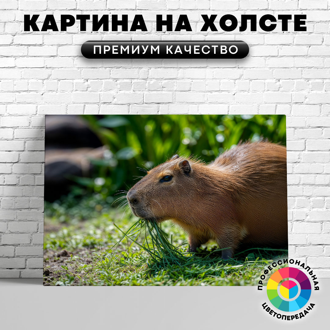 

Картина на холсте Капибара жующая траву 60х45 см, ЖКАПИ