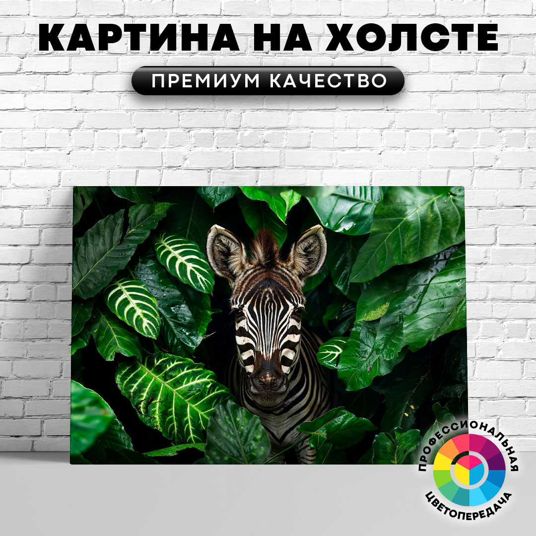 

Картина на холсте Подглядывающая зебра 60х45 см, ЖЗЕБР