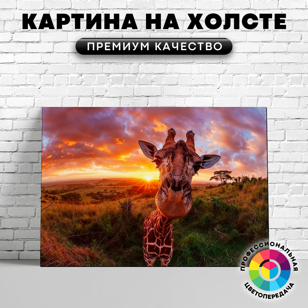 

Картина на холсте Забавный жираф 40х30 см, ЖЖИРА