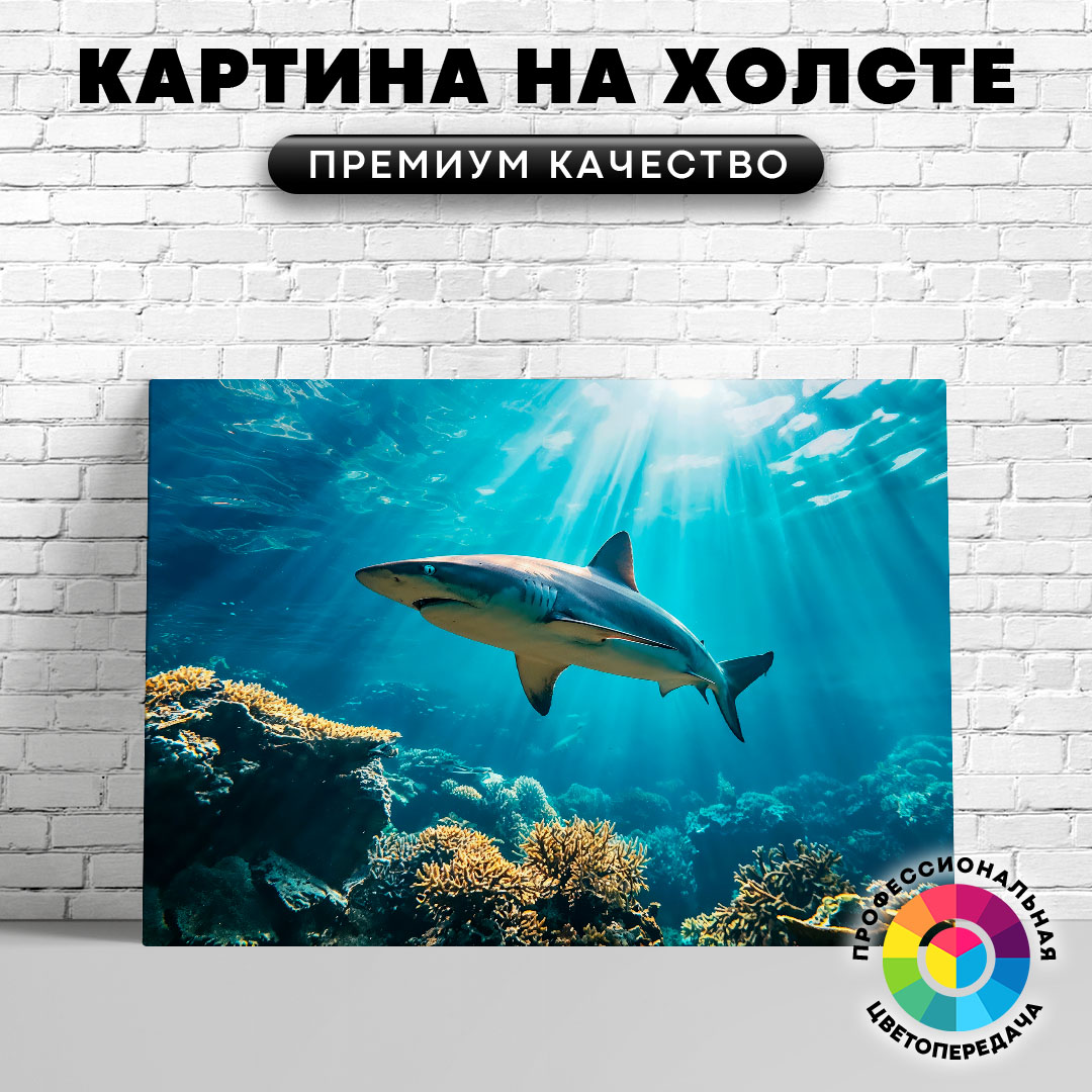 

Картина на холсте Акула в море 50х70 см, ЖАКУЛ