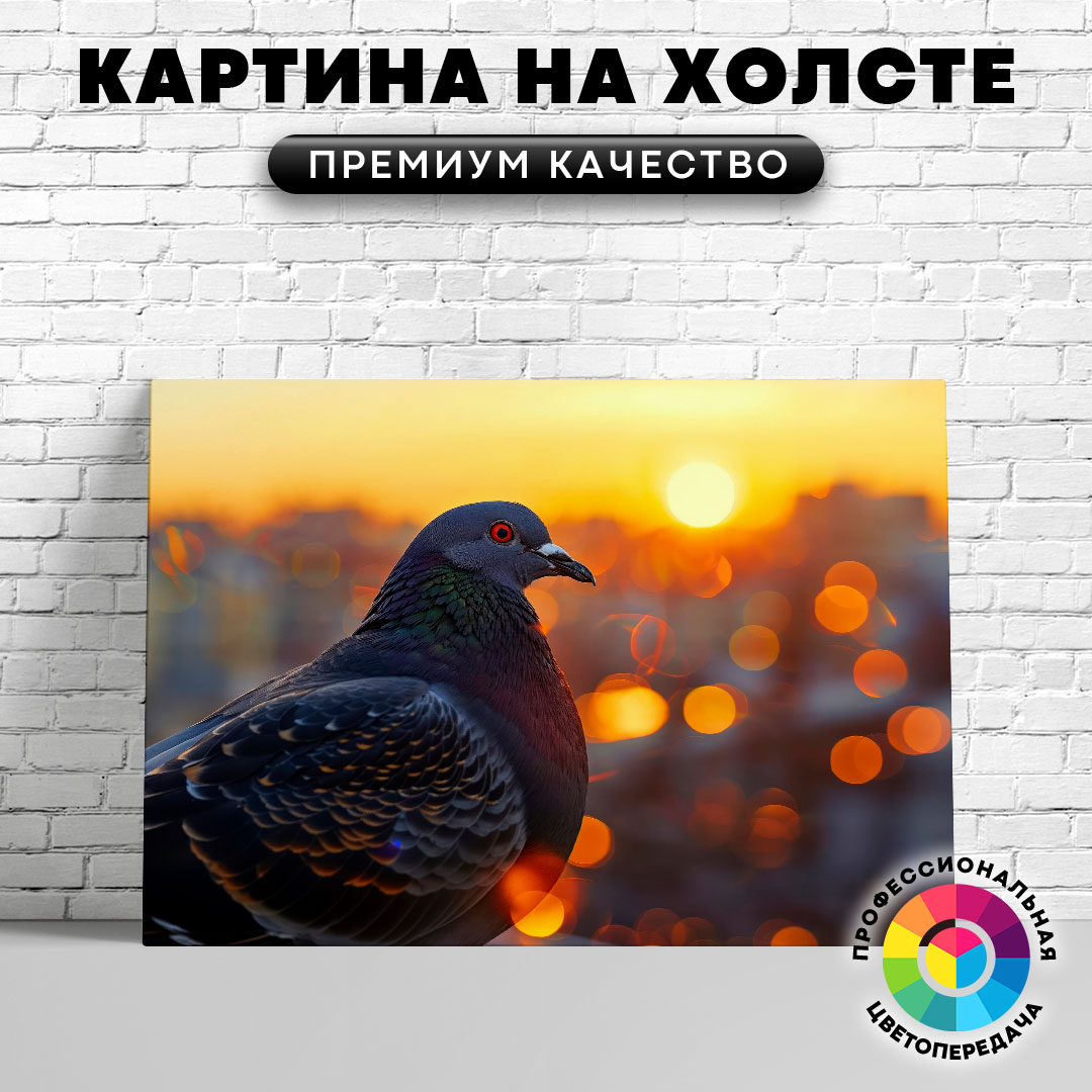 

Картина на холсте Городской голубь 75х100 см, ЖГОЛУ