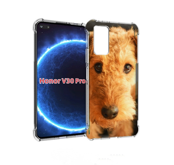 

Чехол бампер MyPads эрдельтерьер для Honor V30 Pro, Прозрачный, Tocco