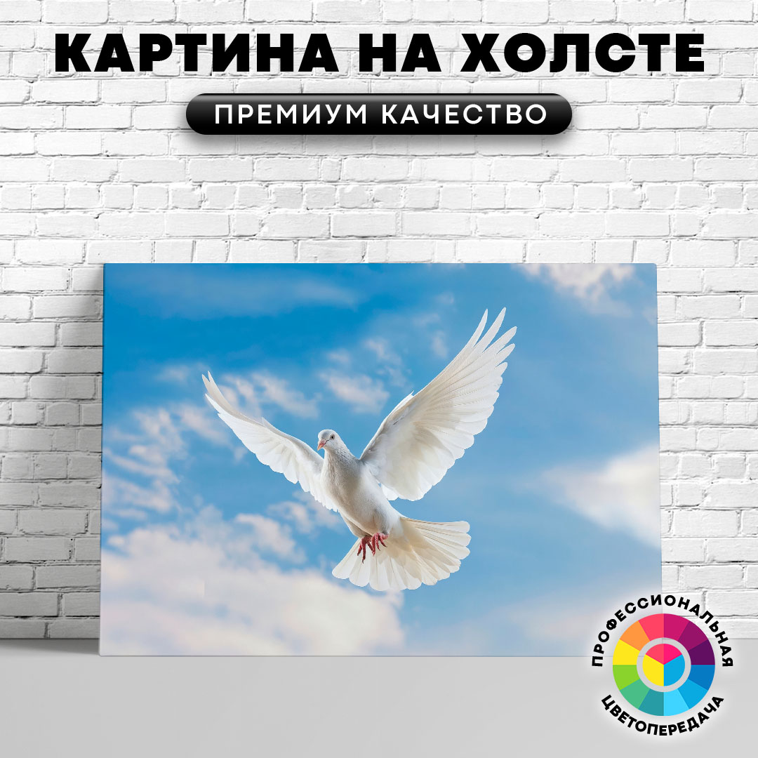 

Картина на холсте Белый голубь в небе 60х80 см, ЖГОЛУ