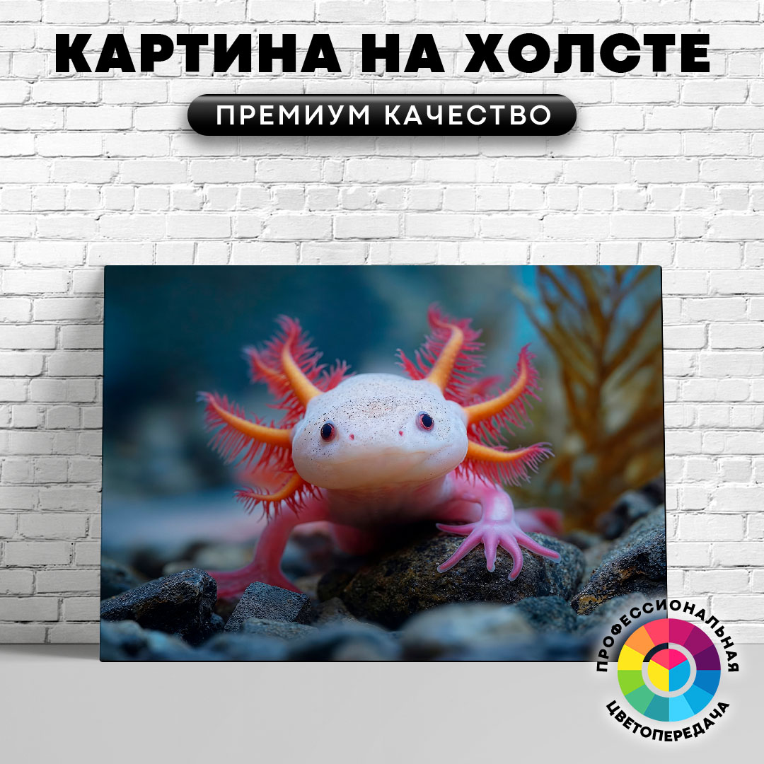

Картина на холсте Милый аксолотль 40х30 см, ЖАКСО