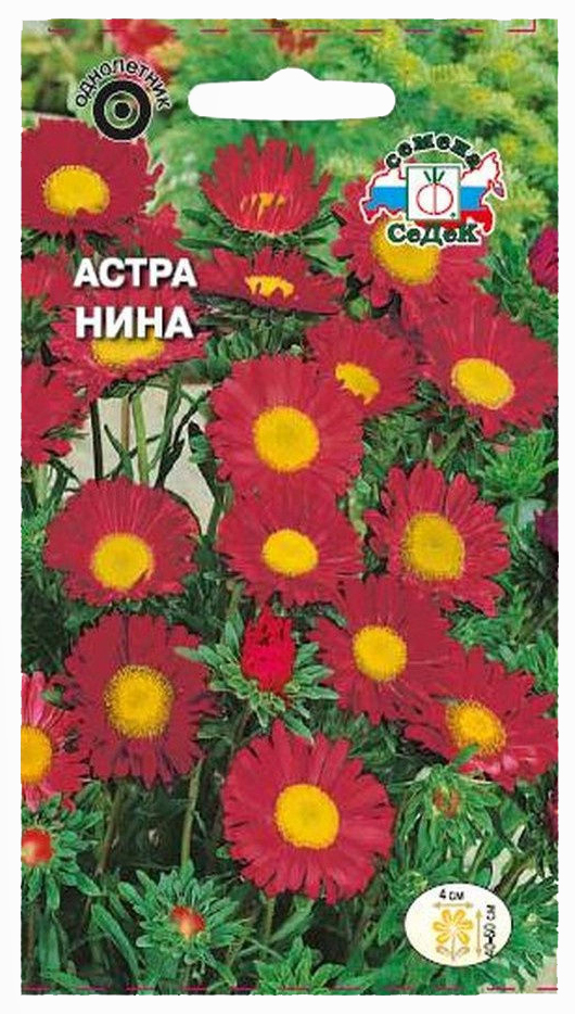 

Семена Астры Нина игольчатая 0,2 г