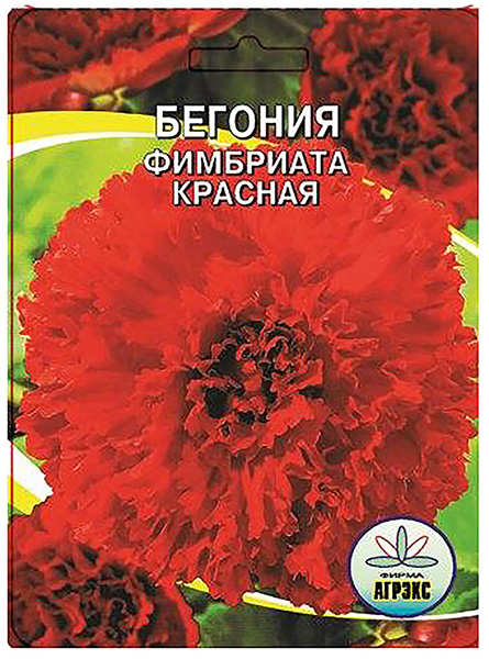 

Луковица Агрэкс Бегония Ред махровая темно-красная