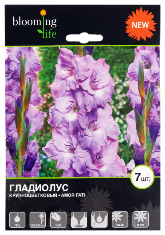 

Луковицы Blooming Life Гладиолус крупноцветковой Амор Фати разбор более 12 см 7 шт