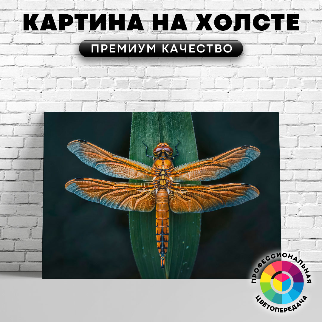 

Картина на холсте Стрекоза и лист 50х70 см, ЖСТРЕ