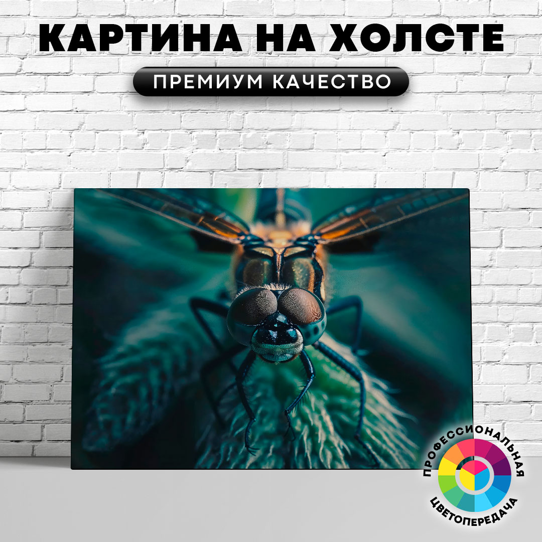 

Картина на холсте Макрофото стрекозы 40х30 см, ЖСТРЕ