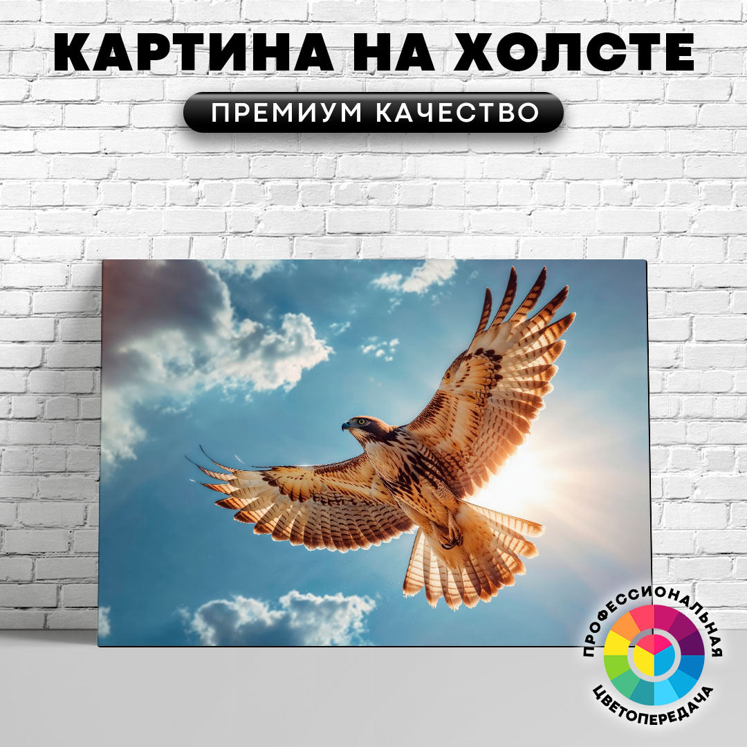 

Картина на холсте Сокол на фоне голубого неба 40х30 см, ЖСОКО
