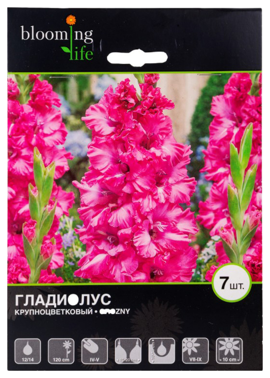 

Луковицы Blooming Life Гладиолус Грозный крупноцветковой разбор 12-14 см 7 шт