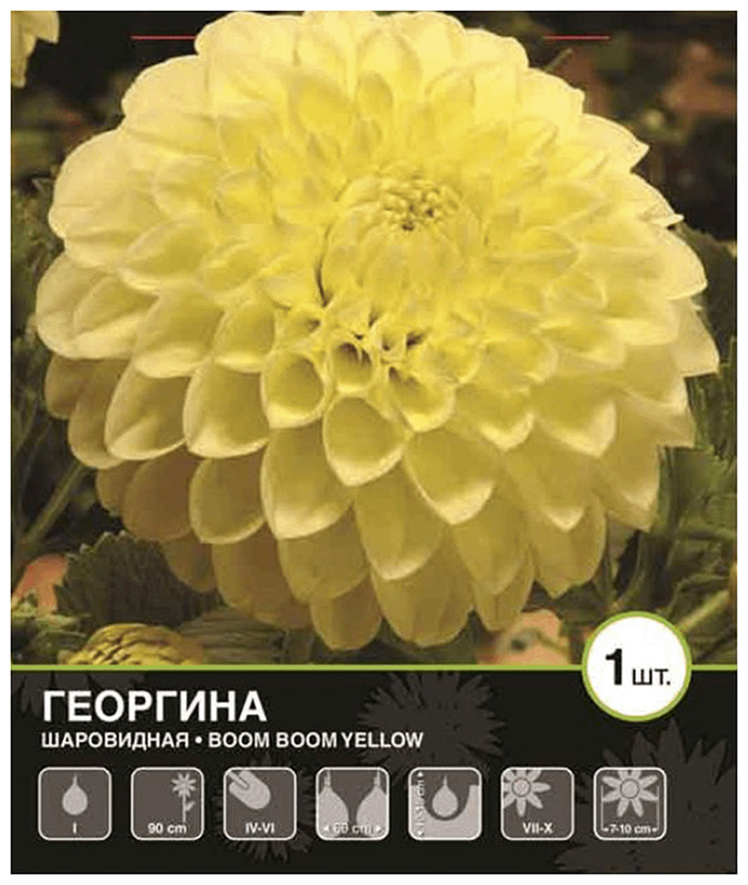 

Семена 7 Цветов Георгина шаровидная Бум Бум желтая 150 г