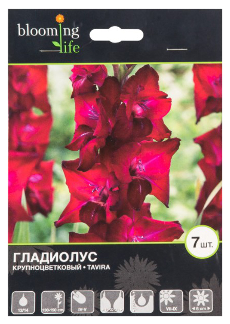 

Семена Blooming Life Гладиолус крупноцветковый Тавира 12-14 см 7 шт 300 г