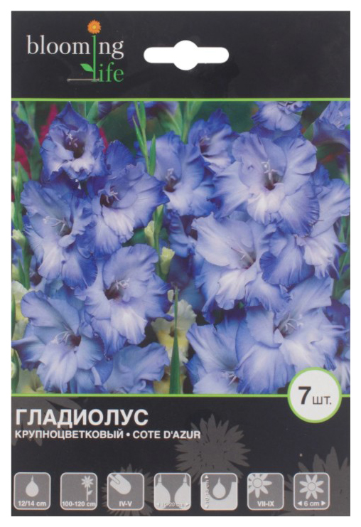 

Луковицы Blooming Life Гладиолус крупноцветковый Коте Д'Азур 12-14 см 7 шт