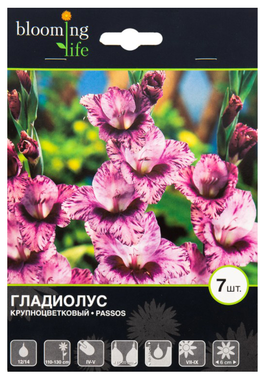 

Гладиолус крупноцветковый луковицы 7 Цветов Blooming Life Пассос 148 г