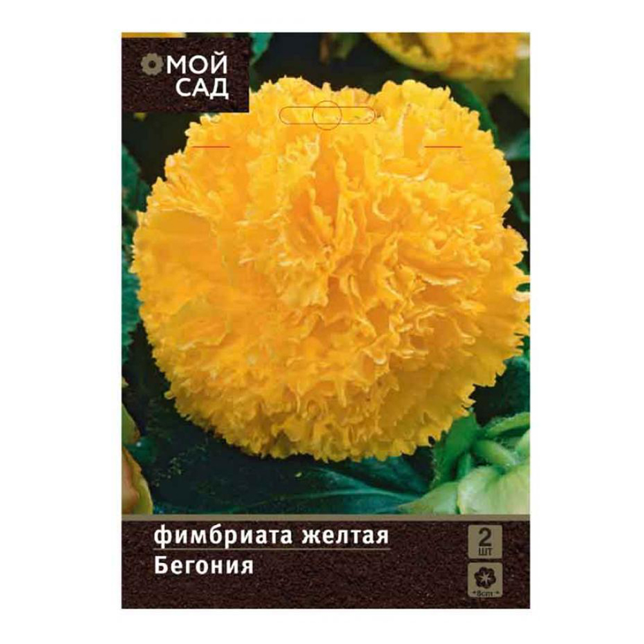 

Клубни Бегония 7 Цветов Фимбриата желтая 2 шт 12 г