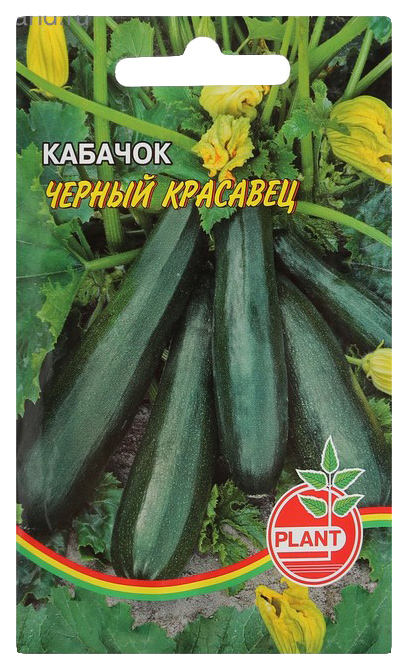 

Семена Plant Кабачок Черный красавец 8 шт 2 г