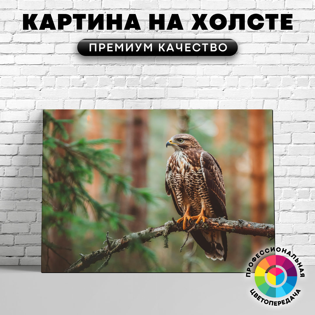 

Картина на холсте Сокол на ветке 40х30 см, ЖСОКО