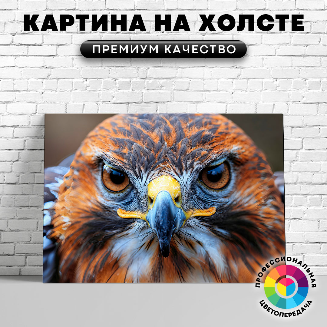 

Картина на холсте Сокол крупный план 40х30 см, ЖСОКО