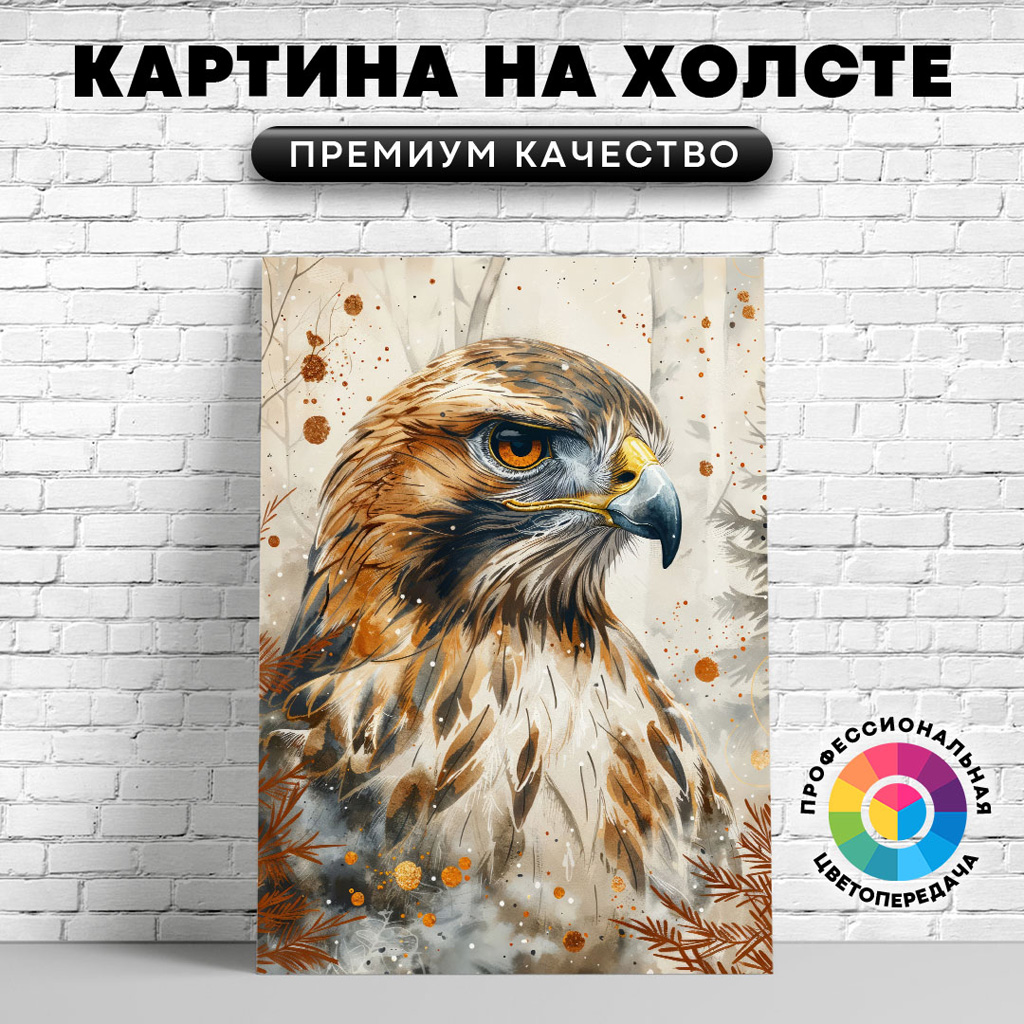 

Картина на холсте Сокол красивый арт 50х70 см, ЖСОКО