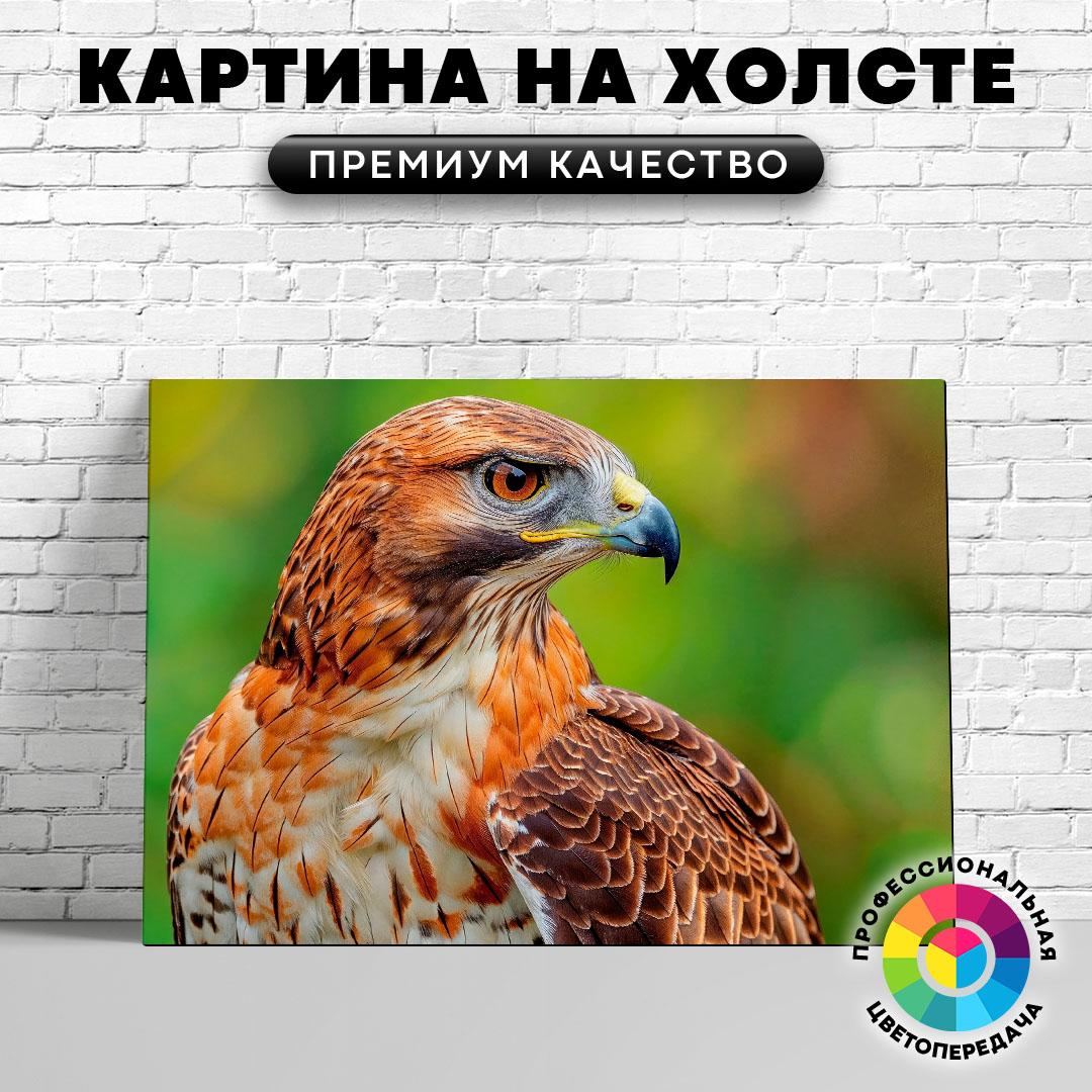 

Картина на холсте Сокол в профиль 50х70 см, ЖСОКО