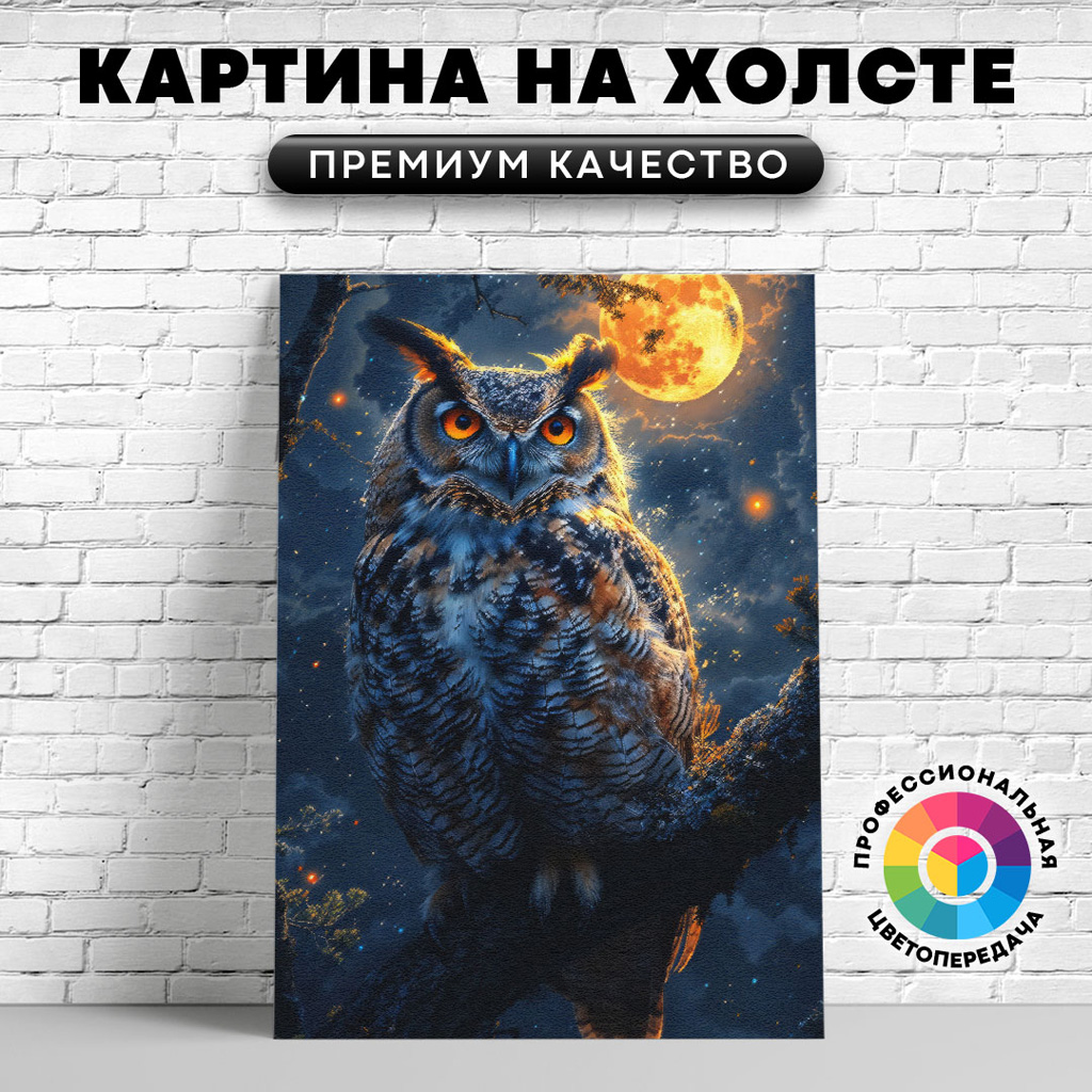 

Картина на холсте Ночная сова арт 60х45 см, ЖСОВЫ