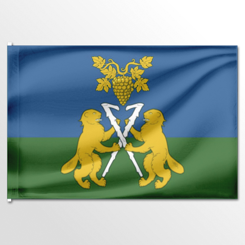 

Флаг ЦТП ФЕНИКС Ницинского сельского поселения 135x90 см, 2537-135x90