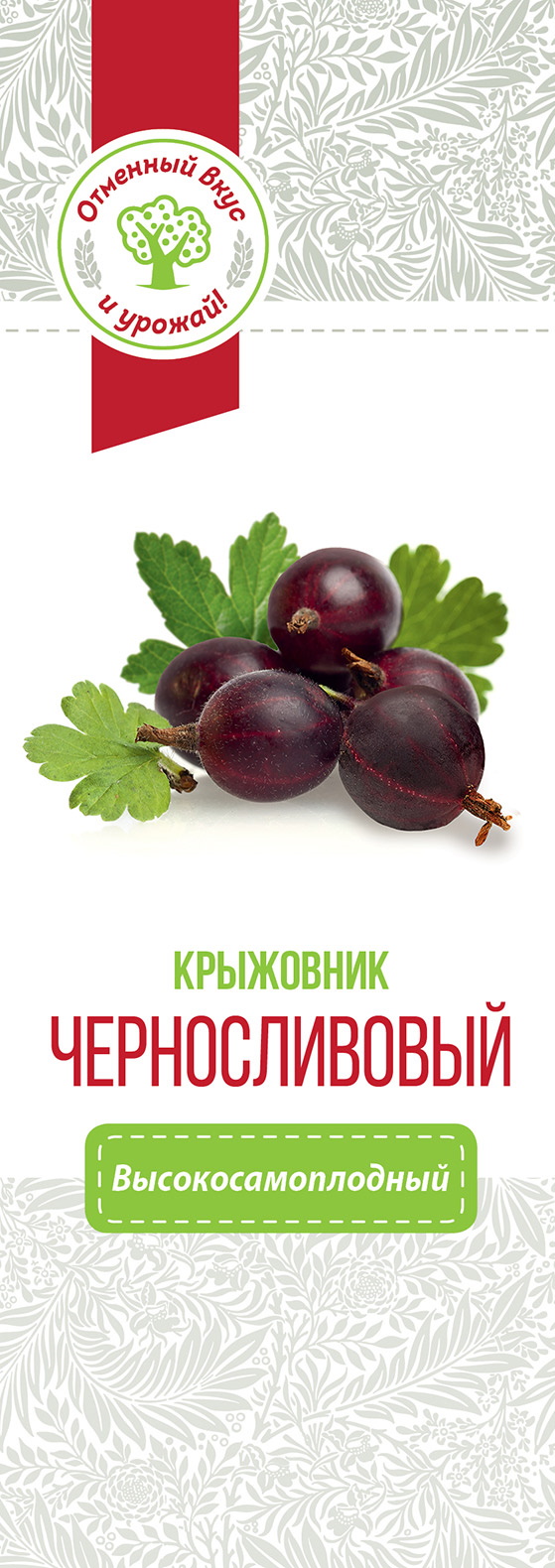 

Саженец Крыжовник Русский Огород Черносливовый
