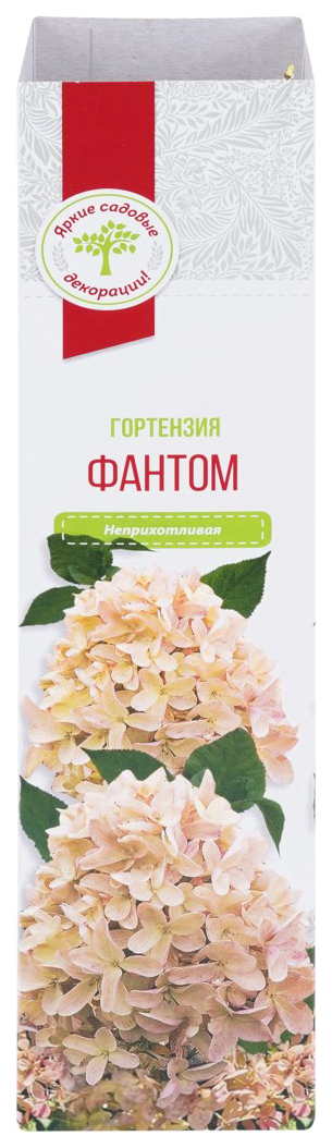

Саженцы Гортензия Русский Огород Фантом 230 г