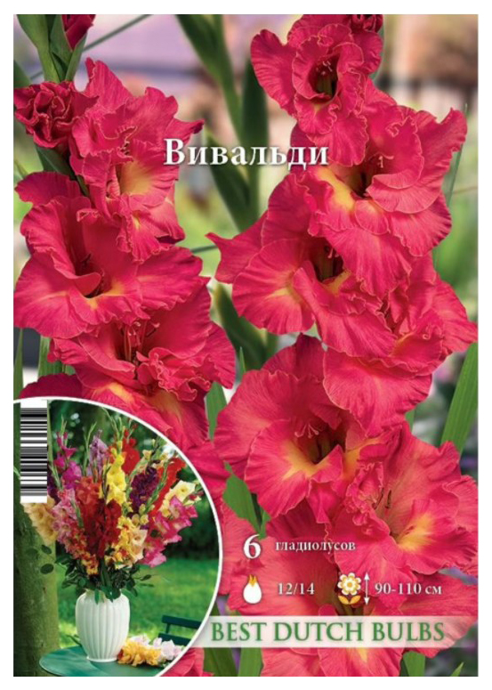 

Луковицы Гладиолус Вивальди розовый 6 шт