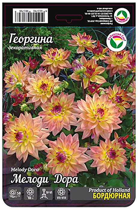 

Луковицы Георгина Мелоди Дора декоративная 1 шт
