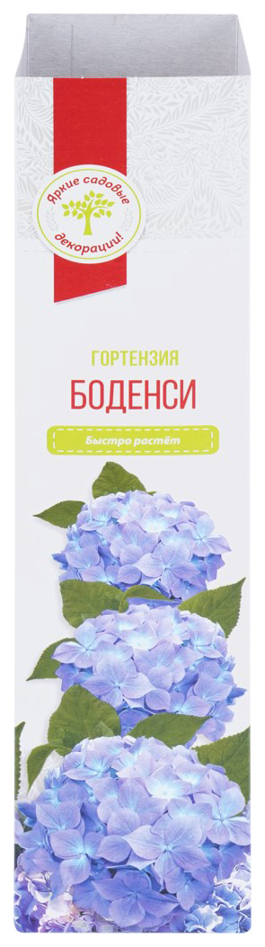

Саженцы Гортензия Русский Огород Боденси 230 г