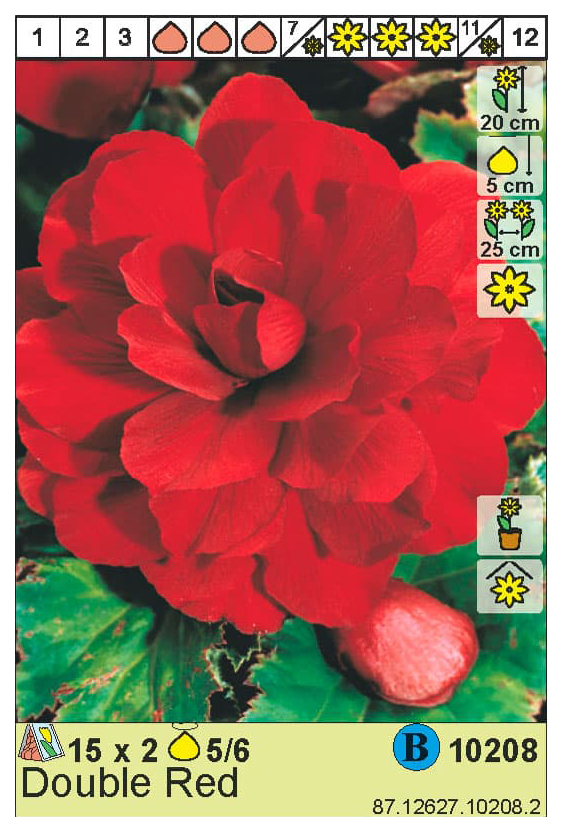 

Клубни бегония Double Red 1 шт.
