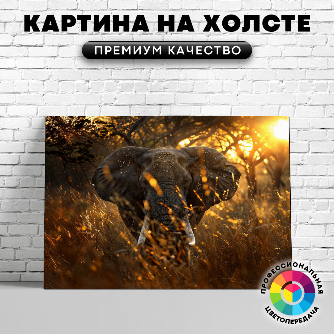 

Картина на холсте Слон на фоне солнца 75х100 см, ЖСЛОН