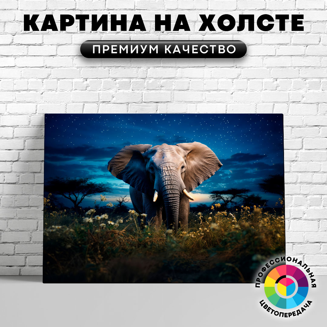 

Картина на холсте Слон и звездное небо 60х45 см, ЖСЛОН
