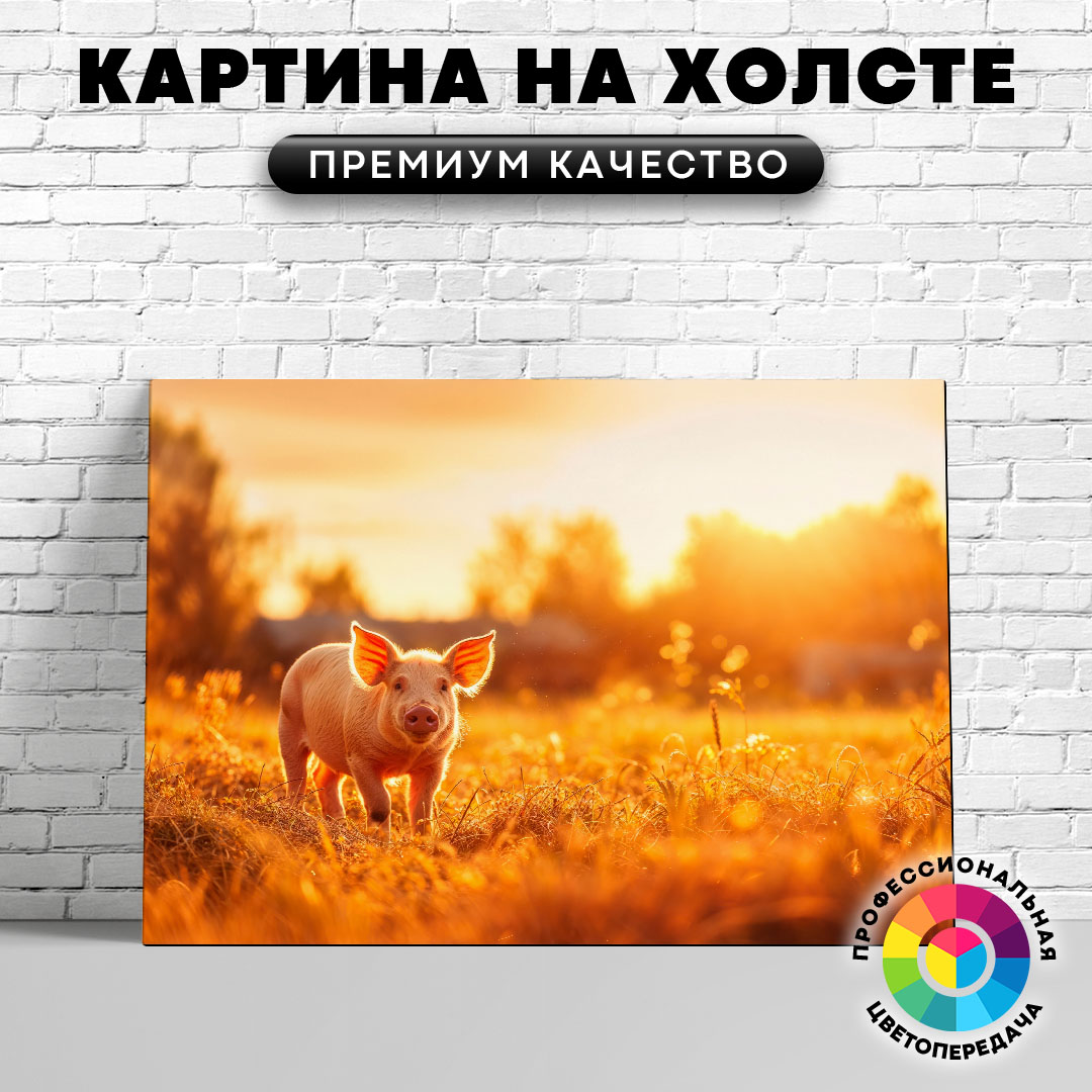 

Картина на холсте Свин в солнечных лучах 60х80 см, ЖСВИН