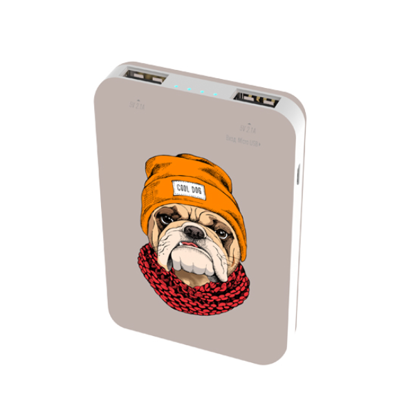 

Внешний аккумулятор Ritmix RPB-10007 Bulldog, RPB-10007 Bulldog