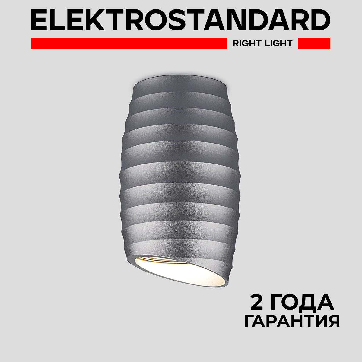 

Накладной точечный потолочный светильник Elektrostandard DLN105 GU10 серебро, DLN105 190923